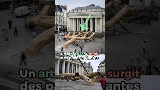 Des arbres géants surgissent des pavés de Nantes #actualite