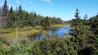 Pre-Scouting My Beaver Trapline