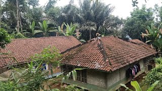 Terpecil...!!! Hanya Ada 4 Rumah Warga Di Penghujung Perkampungan Jauh Dari Tentang