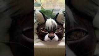 Your cat mask if you…#alterhuman#therianthropy#furry