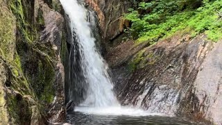 Maine waterfall full of brook trout