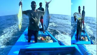 LONGLINE FISHING //CATCHING QUEEN FISH  BACK TO BACK AT DEEP SEA