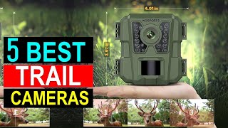 Top 5 Trail Cameras in 2025 - Best Trail Cameras You Con Buy {Reviews}