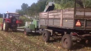 ㋡ Kukurydza na kiszonke 2k15 II Chopping Corn II by michu2709 ㋡