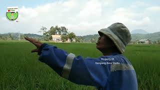 Suasana Kampung Dengan Alam Pedesaan Yang Indah Garut Utara