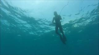 Spearfishing South Africa December 2016