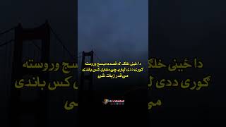 دا ځینی خلګ لع قصده میسج وروسته ګوری ددی لپاره چی مقابل کس باندی می قدر زیات شی 🤷🏻🥀#inshotedit