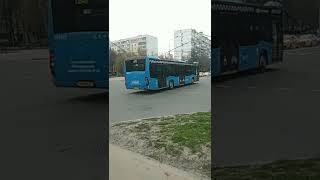 автобусы и маршрутки