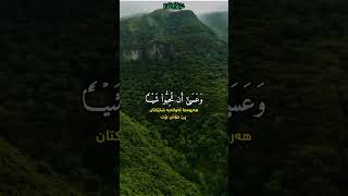 وَعَسَىٰۤ أَن تَكۡرَهُوا۟ شَیۡـࣰٔا وَهُوَ خَیۡرࣱ لَّكُمۡۖ.. القارئ مشارى العفاسي ❤️❤️سورة البقرة ♥️