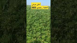 احلى مرعى ..الحلبة...فيفري2023