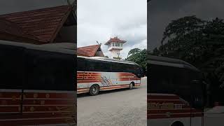 Bus Aneka jaya Tiba di pekanbaru #shorts #ayonaikbus