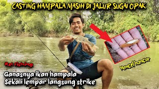 sugai opak nolnil casting hampala Yogyakarta