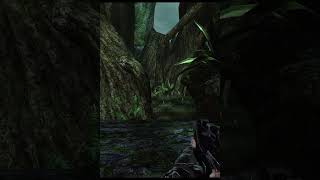 Мы делаем детей/Turok/Моменты со стрима #shorts #turok #zafir #приколы