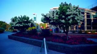 Beautiful Binghamton NY, & Binghamton University