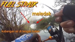 full straik  //casting toman //casting ikan krandang