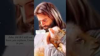 Jesus status video/Christian status video/Short Jesus status video (3)