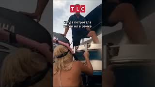 Ил в речке или #shorts #TLC