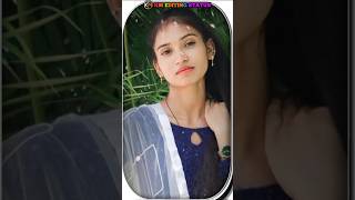 New Timli Status 2023 / Dj Remix Gujarati Timli WhatsApp Status | #shorts #trending #timli #status