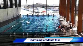 Swimming at Monte Moo