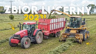 🔥ZBIÓR LUCERNY 2023🔥2 POKOS🔥3X MASSEY FERGUSSON🔥GR GRONDOWY🔥VIXA🔥NOWY NABYTEK🔥AGROTEAM-ŁÓDZKIE🔥