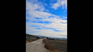 Paseando por un #camino de la #campiñacordobesa. #montalban #andalucia #españa.