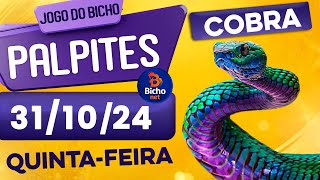 PALPITE DO DIA 31/10/2024 - JOGO DO BICHO 🍀 TODAS AS LOTERIAS 🍀