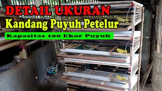 Ukuran Kandang Puyuh Petelur Yang Ideal