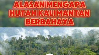 Alasan Mengapa Hutan Kalimantan Sangat Berbahaya