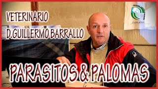 PALOMAS Y PARÁSITOS.- Guillermo Barrallo