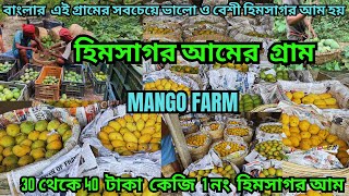 বাংলার এই গ্রামে সবচেয়ে ভালো হিমসাগর আম হয় || Famous Mango Village || বাংলার  সবচেয়ে বড় আমের হাট