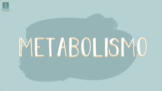 Metabolismo// Científico Matemático 8º básico // Colegio San Nicolás Diácono