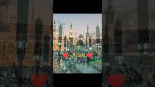 #محمدصلى_الله_عليه_وسلم #cricket #happiness #love #love #creative #baby #mashallah #youtubeshorts