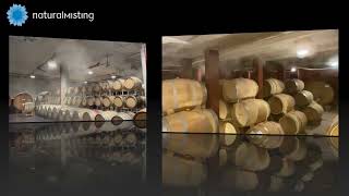 UMIDIFICAZIONE PER CANTINE VINICOLE NATURAL MISTING