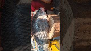 Amazing 30kg Big katla Fish Cutting In FishMarket | Live Fish Cutting Skills #reels #fishcutting