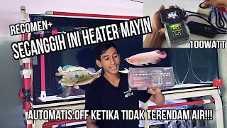 Heater Mayin Thermocontrol ! Penyetabil Suhu air aquarium Paling Recomend || Mayin Internasional