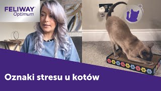 Kot drapie, ukrywa się - FELIWAY Optimum 30s