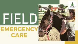 Horse Field Emergency Care with Dr. Monty McInturff