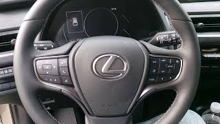 2019 Lexus UX 200 Start Up