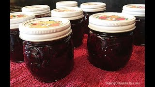 Low Sugar Blackberry Jam Story - Natural Sound