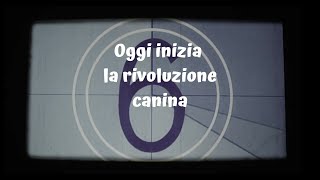 La Rivoluzione Canina inizia oggi