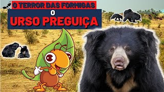 Urso Preguiça (Urso Beiçudo): o terror das formigas e cupins!