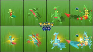 Pokemon GO : Evolving Normal &Shiny Treecko into Normal &Shiny Grovyle and Normal &Shiny Sceptile