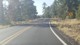 Flagstaff Az