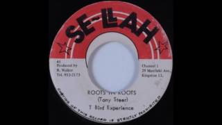 ReGGae Music 756 - T. Bird Experience - Roots In Roots [Se-Lah]