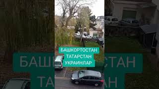 БАШҠОРТОСТАН ҺӘМ ТАТАРСТАН МӘСКӘҮНЕ АЛЫРГА ТИЕШ