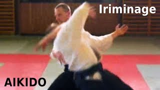 Aikido - IRIMINAGE on aihanmi katatedori attack without gripping, by Stefan Stenudd in 2003