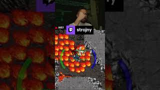 ALBINO DRAGON PIERWSZY RAZ SPOTKANY! #tibia #twitch #shorts