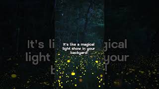 Fireflies #viral #forest #facts #europe #wildlife #nature