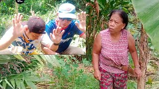 AKI ATOI DAN DAMAK MENCURI BUAH RAMBUTAN KUMANG JAWAI // SAKSIKAN CERITA PENDEK INI //