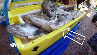 Mancing ikan di pasar Amsterdam :)